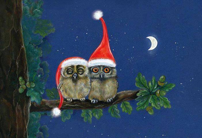 Zeleni nedeljni horoskop od 8.12. do 15.12.2025.