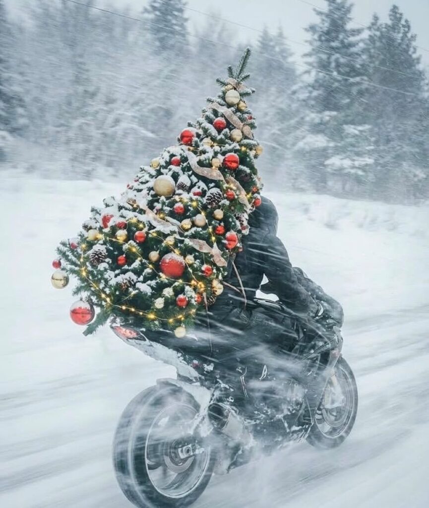 Zeleni nedeljni horoskop od 15.12. do 22.12.2025.